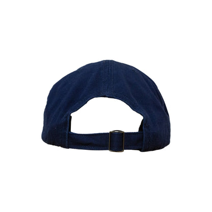 Catfish Dad Hat